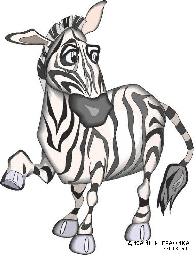 Зебра (животные в векторе)