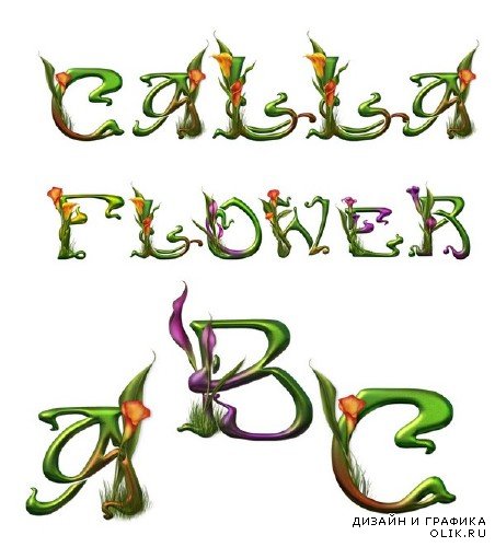 Алфавит: Цветы Каллы (прозрачный фон)