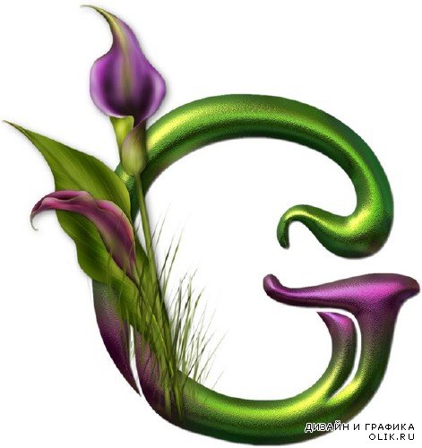 Алфавит: Цветы Каллы (прозрачный фон)