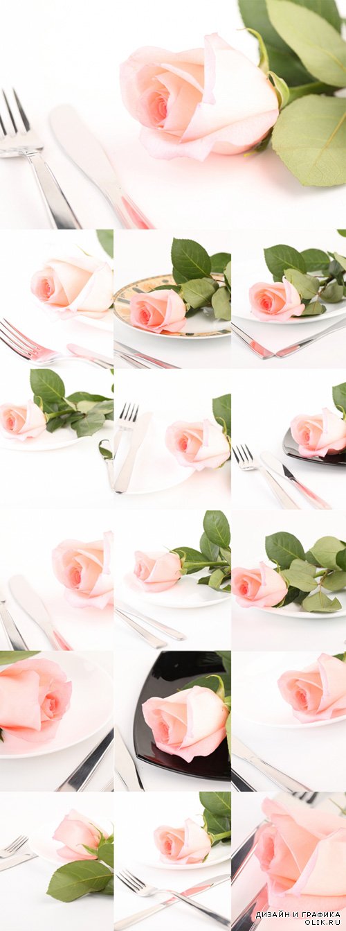 Сервировка стола, столовые приборы, розовая роза - фотоклипарт. Table devices with a pink rose