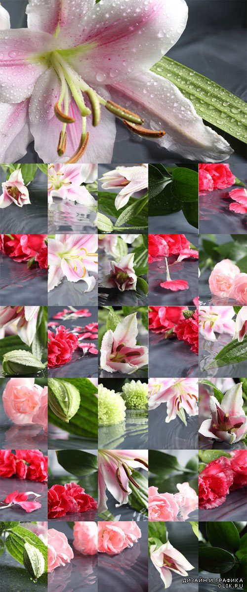 Цветы, лепестки, букеты в воде - растровый клипарт. Flowers, petals, bouquet in water