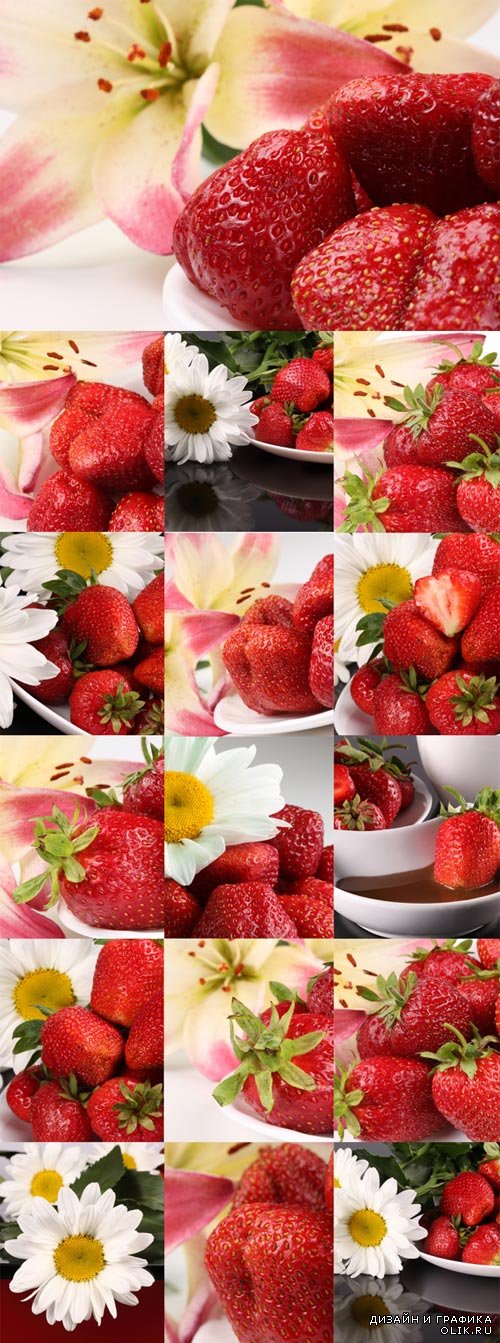 Сочная клубника с ромашками и лилиями - фотоклипарт. Juicy strawberry with daisies and lilies
