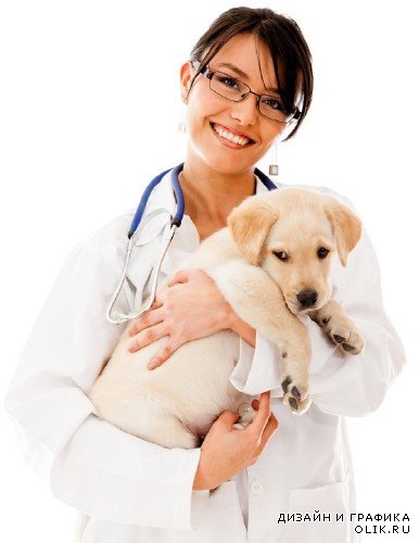 Ветеринарная медицина (подборка изображений)