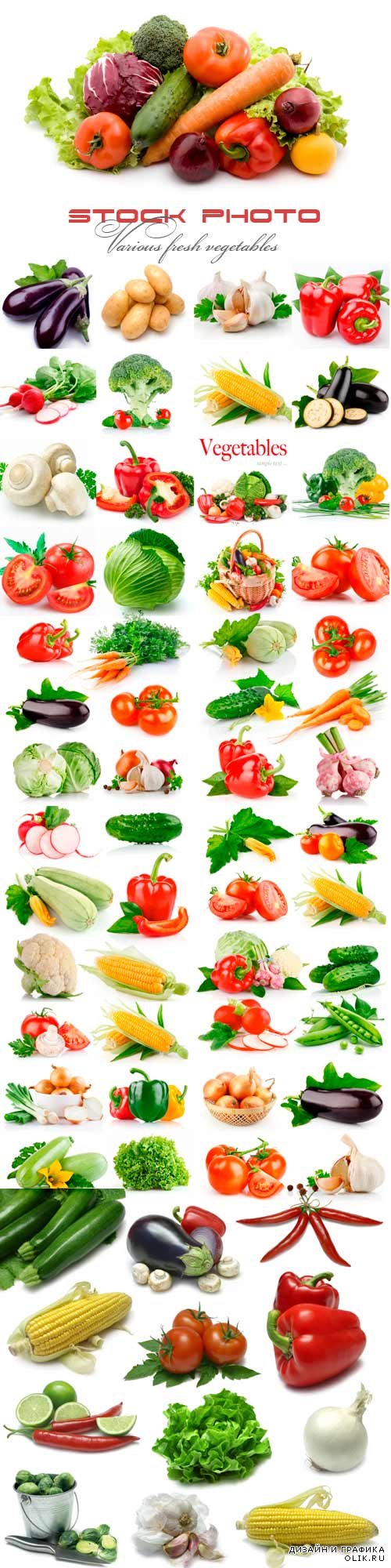 Различные свежие овощи