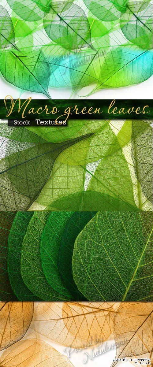 Бесшовные текстуры - Макро зеленые листья