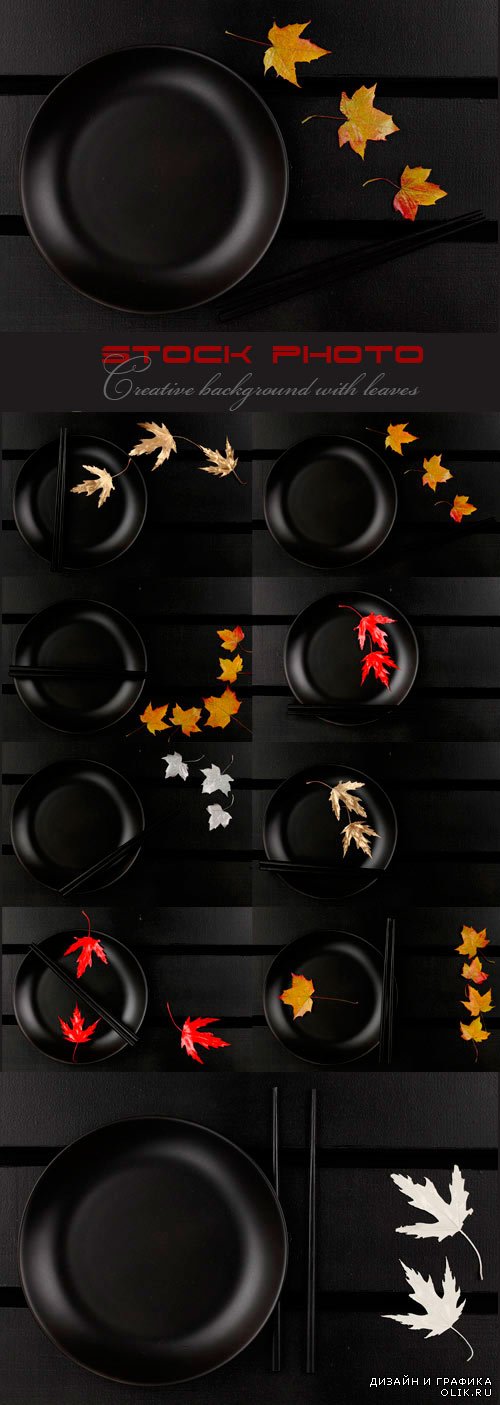 Creative background with leaves