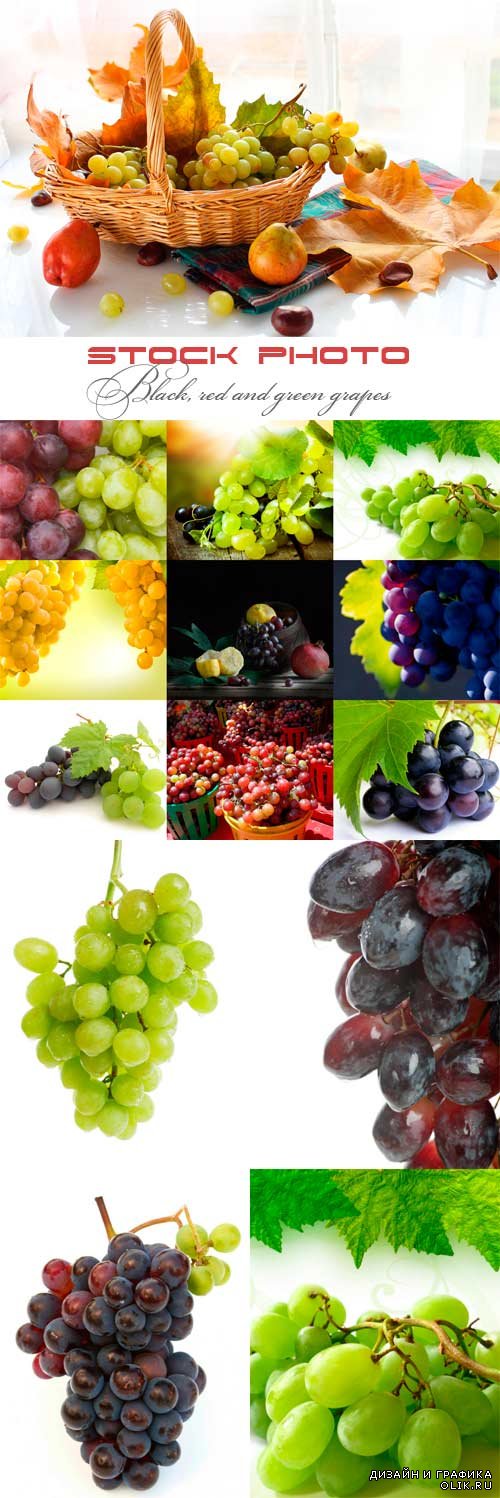 Черный, красный и зеленый виноград