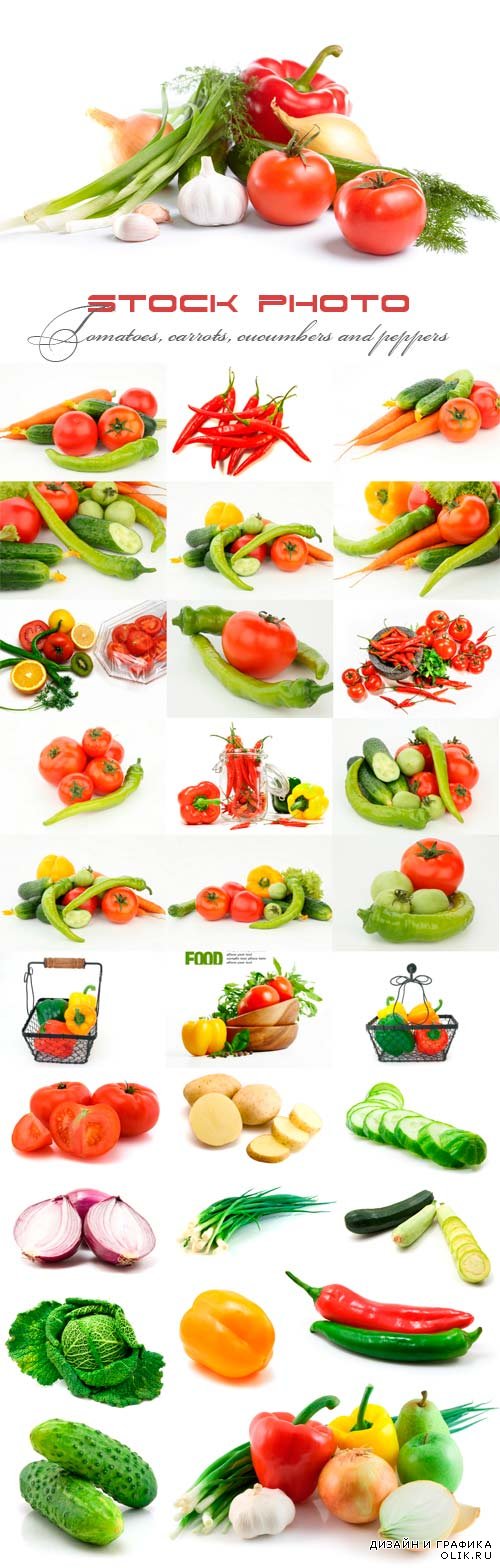 Tomatoes, carrots, cucumbers and peppers are on the white background