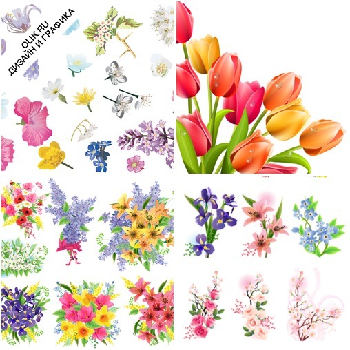 Весенние букеты - коллекция цветов в векторном формате