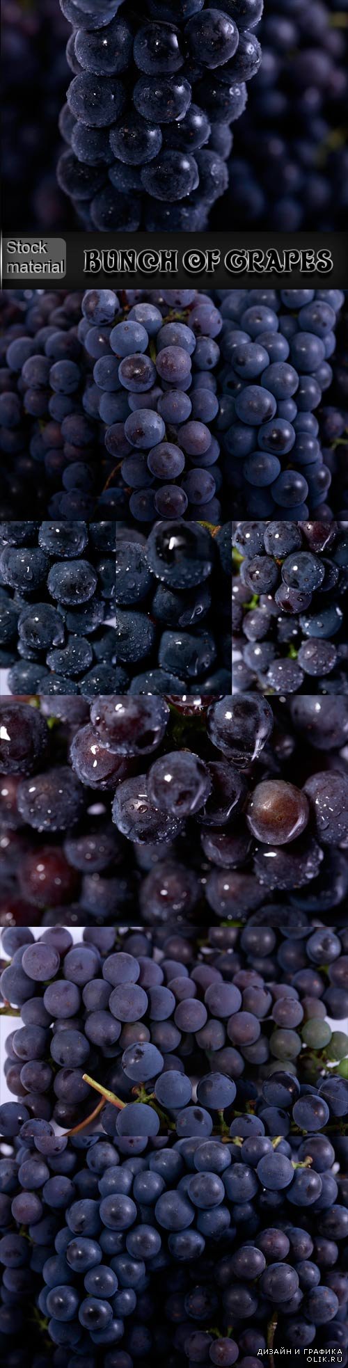 Грозди винограда с каплями воды