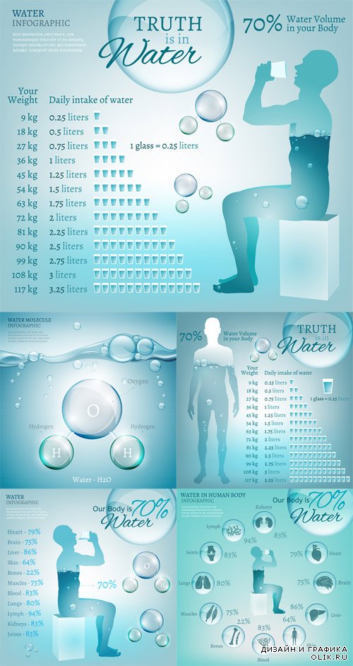 Vector Set - Water in Body