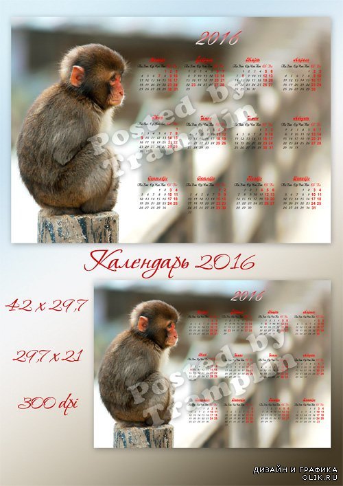 Настенный календарь на 2016 год с обезьянкой