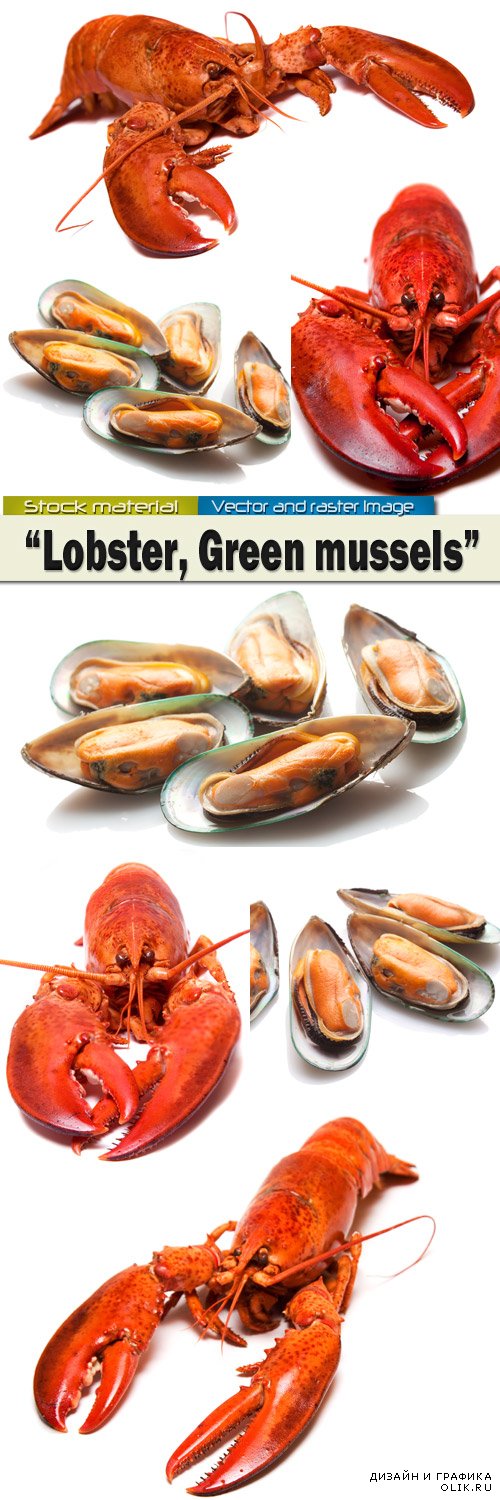Красный лобстер и Зеленые мидии – Вкусные обитатели моря