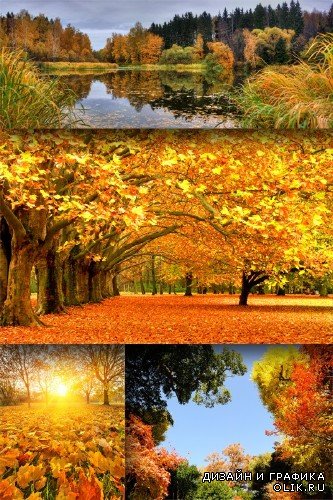 Прекрасные фото - пейзажи золотой осени (подборка)