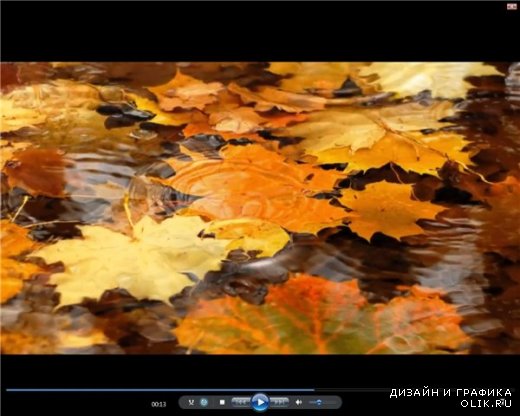 Осень Листь в воде Футаж    Источник: 0lik.ru