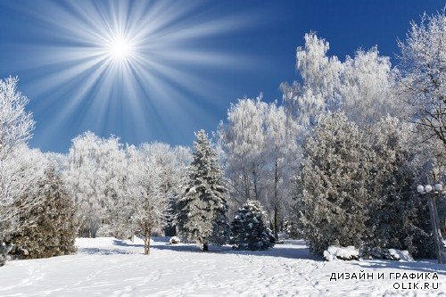 Ясный зимний день (подборка фото пейзажей)