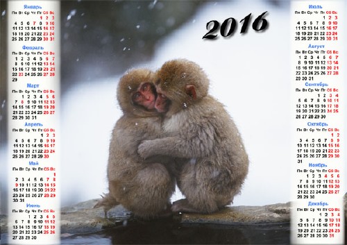 Календарь - Две обезьянки греются зимой