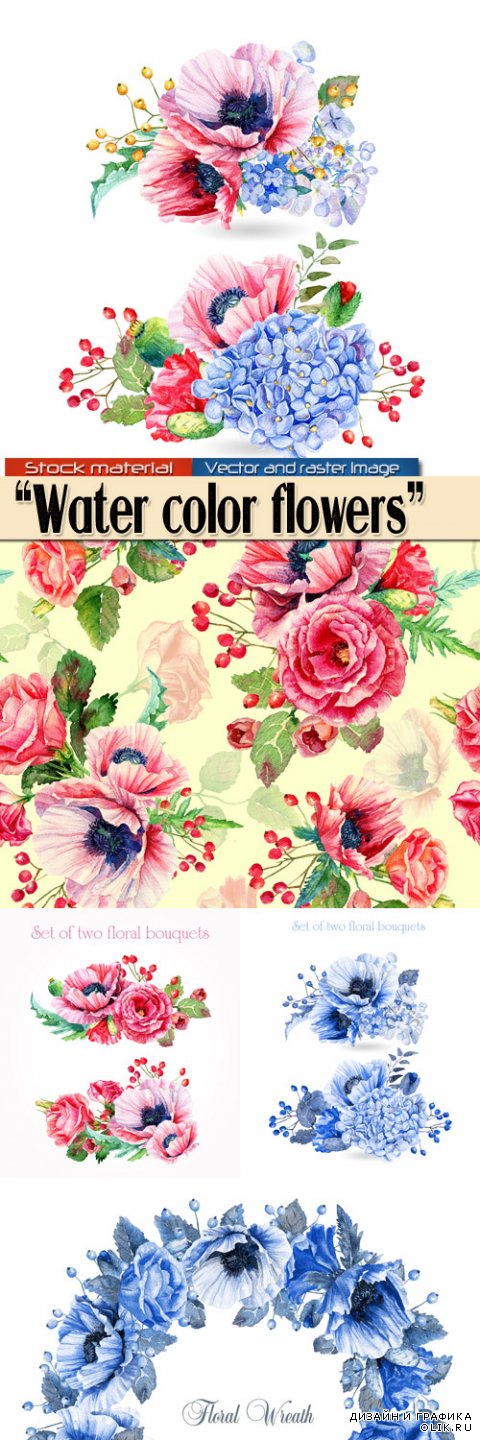Красные маки, розы и голубая гортензия - Иллюстрации акварельных цветов
