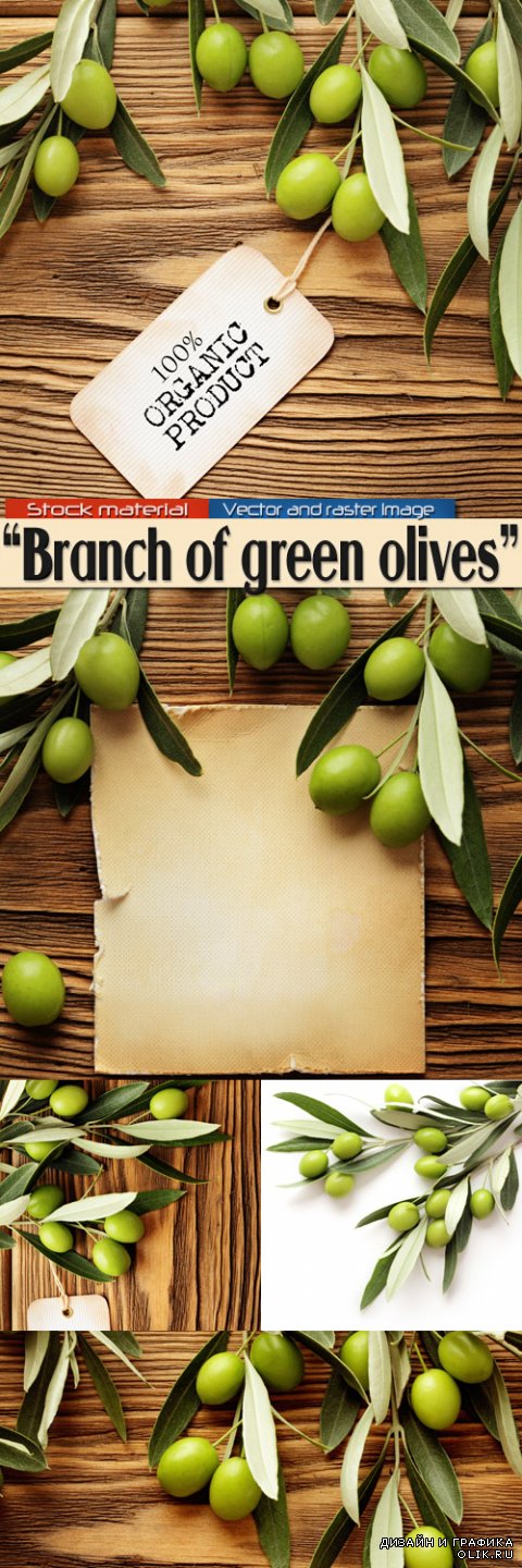Веточка зеленых оливок на деревянном фоне