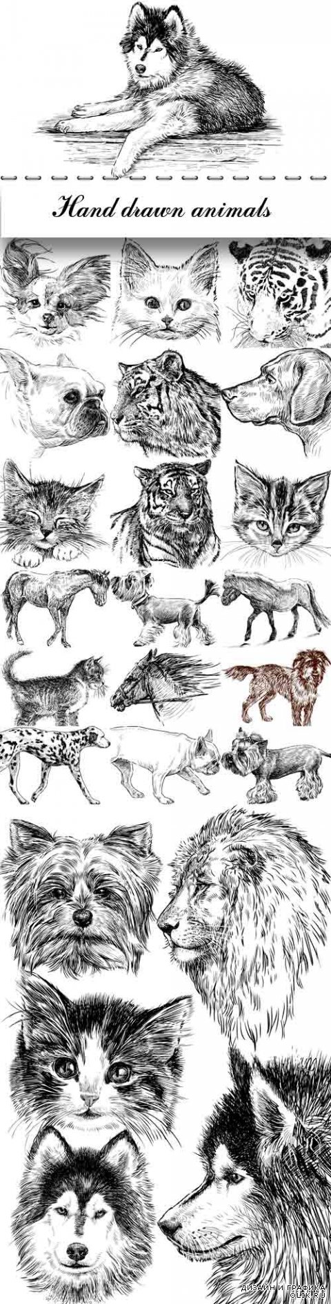 Hand drawn animals vector set
