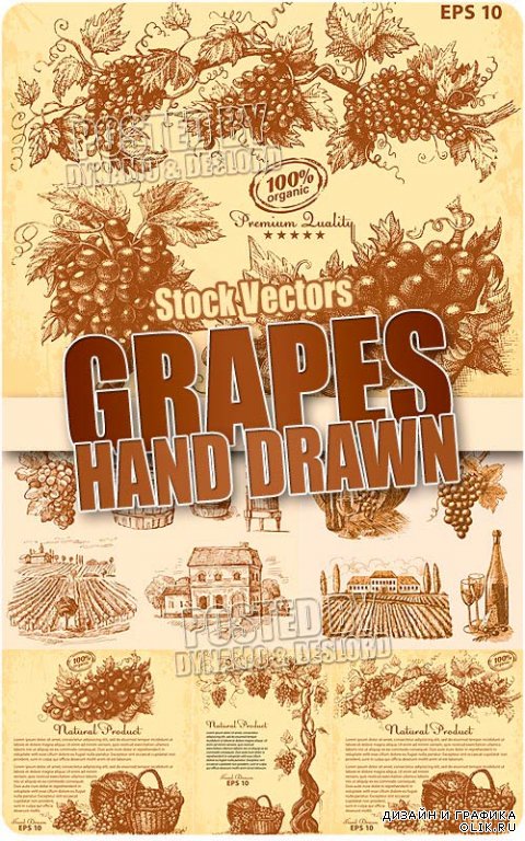 Ретро рисованный виноград - Векторный клипарт