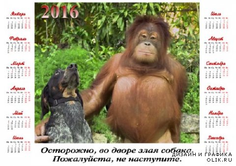 Календарь 2016 - Орангутанг с собакой