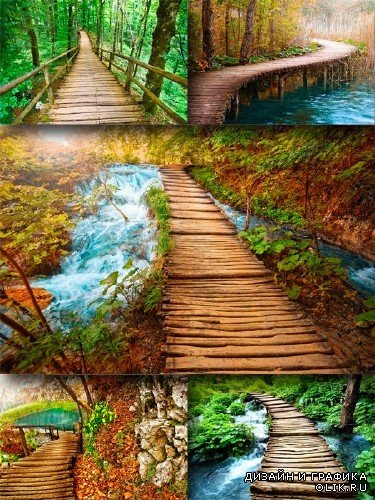Красивые мостики (подборка изображений)