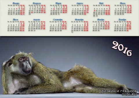 Календарь 2016 - Модная обезьянка
