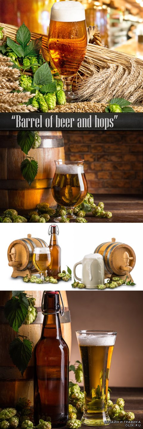 Деревянная бочка пива и плоды хмеля