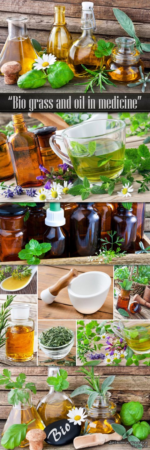 Лекарственные травы и масла в медицине