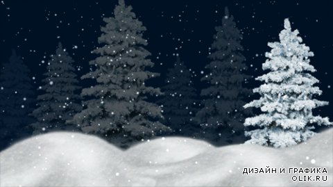 Night winter forest