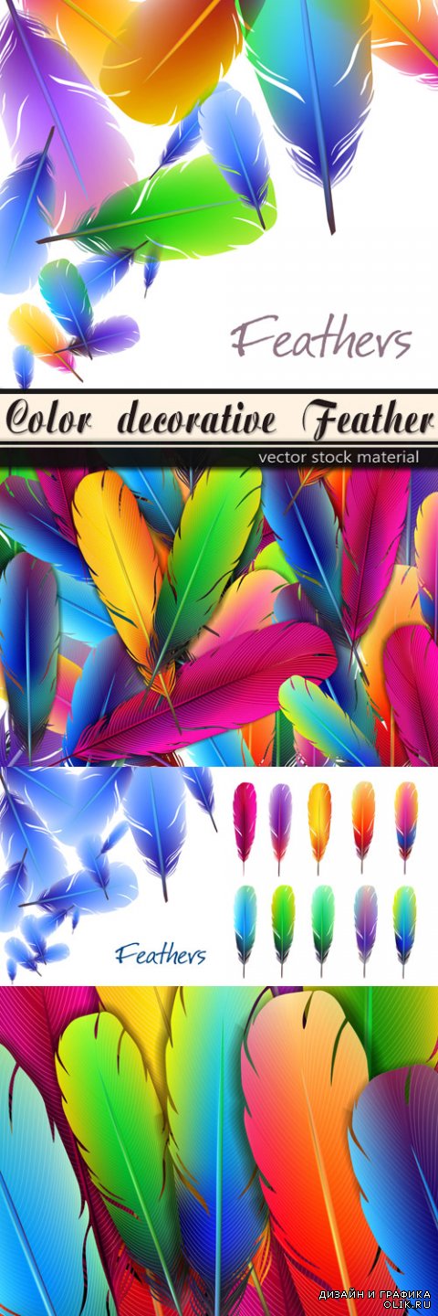 Color decorative Feather