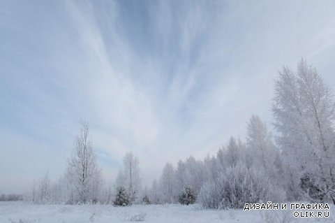 Зимние лесные фото - пейзажи