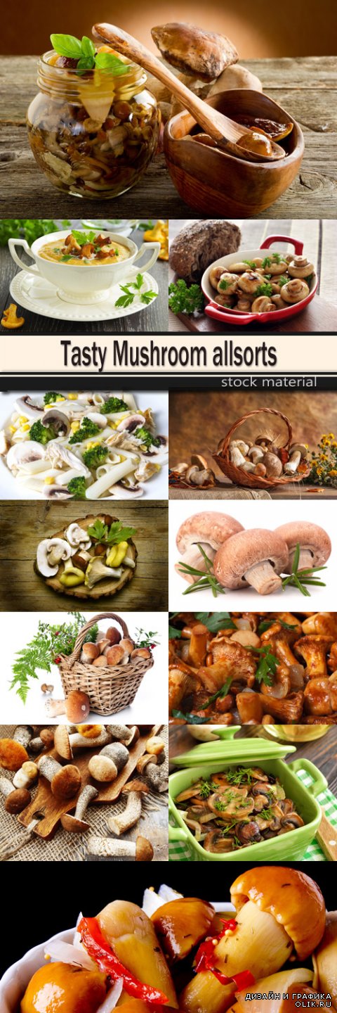 Tasty Mushroom allsorts