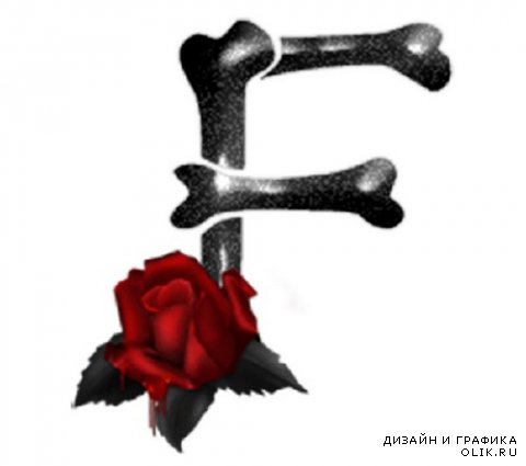 Алфавит: кости и розы (прозрачный фон)