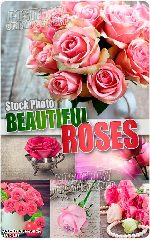 Прекрасные розы - Растровый клипарт