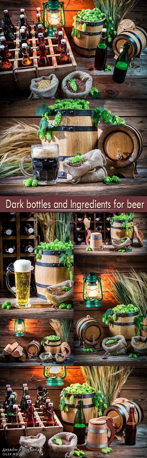 Dark bottles and Ingredients for beer