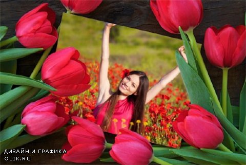 Фоторамка - Красные тюльпаны
