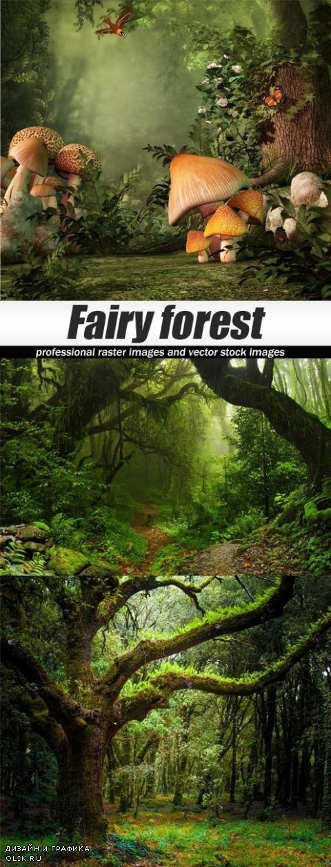 Fairy forest / Сказочный лес