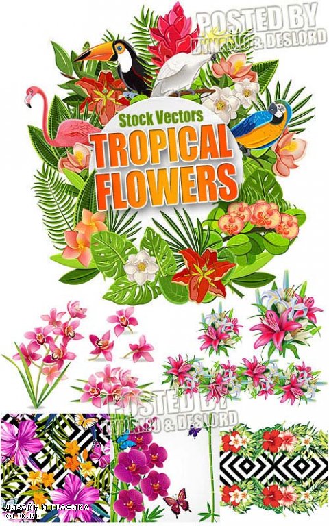 Тропические цветы - Векторный клипарт