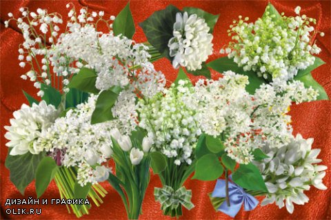 Клипарт Белые цветы весны