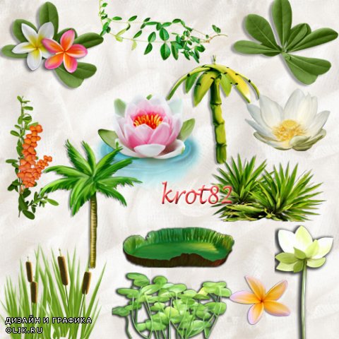 Морской клипарт Png – Пальма, цветы, камыш, растения, лотос