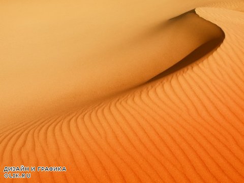 Растровый клипарт - Пустыня 6