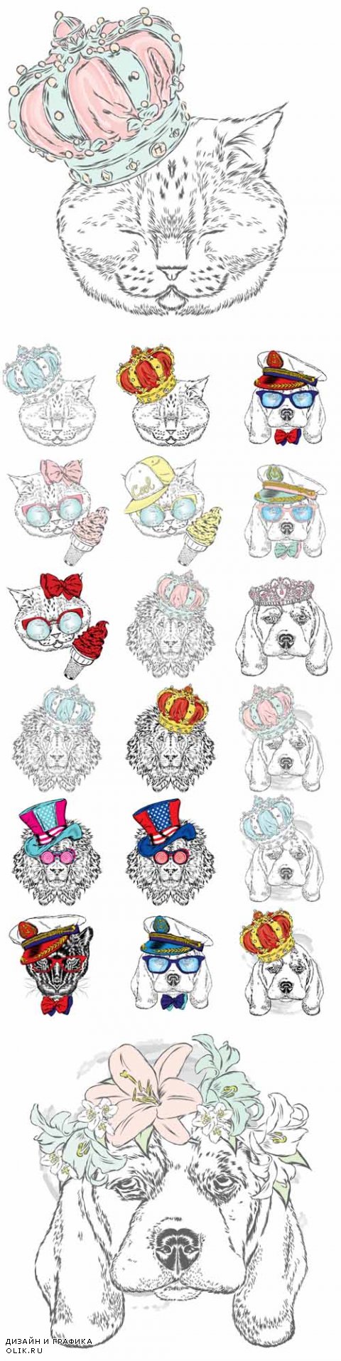 Vector Cute Drawn Illustrations Cat, Dog, Lion for Print
