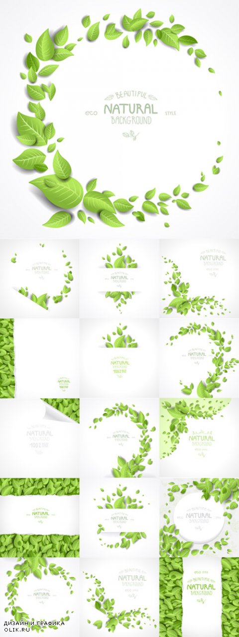 Vector Background and Frames with Green Leaves