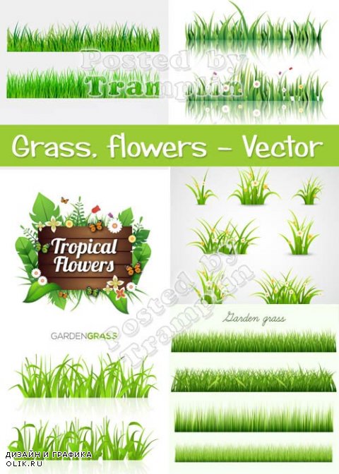 Трава, цветы - Векторные фоны