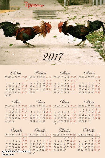 Настенный календарь на 2017 год - Петушиные бои