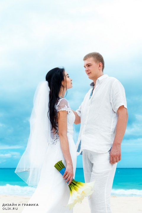 Свадьба - жених с Невестой - Клипарт растровый