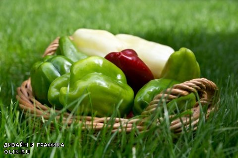 Растровый клипарт - Свежие овощи 10