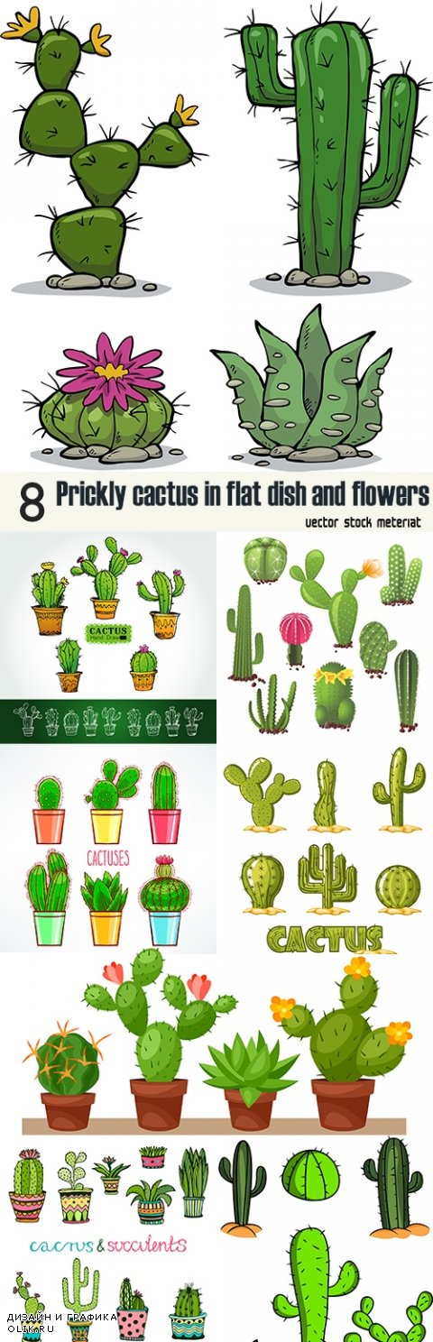 Prickly cactus in flat dish and flowers